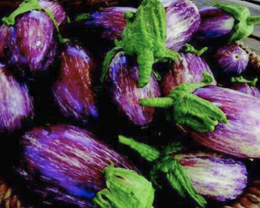 Listada de Gandia Eggplant Seeds